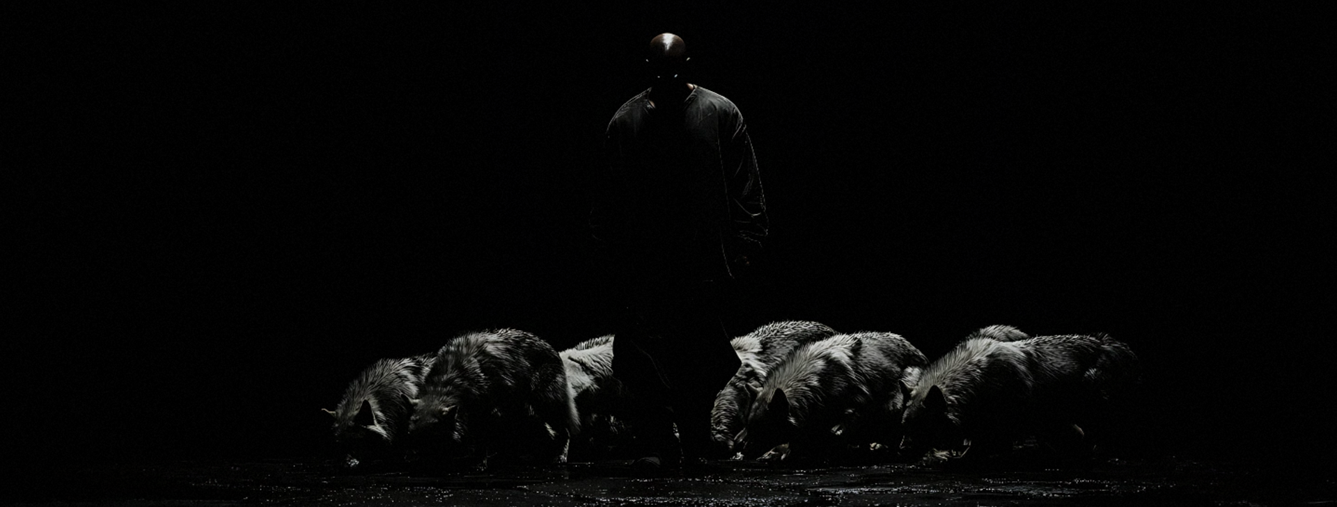Black and white image of a person standing in front of a group of wolves.